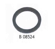 Buisfilterring 3'' filter