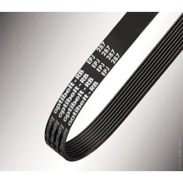 Ribbenband 8PK2683 Optibelt - 8PK2683