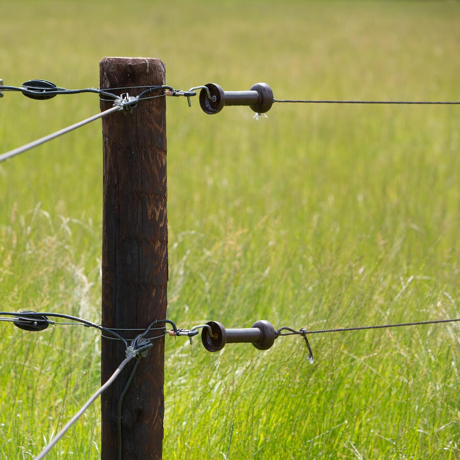 Softgrip poortgreep terra cord/draad RVS value pack 4stuks | GALLAGHER | 8713235058198 | 058198GAL | 058198