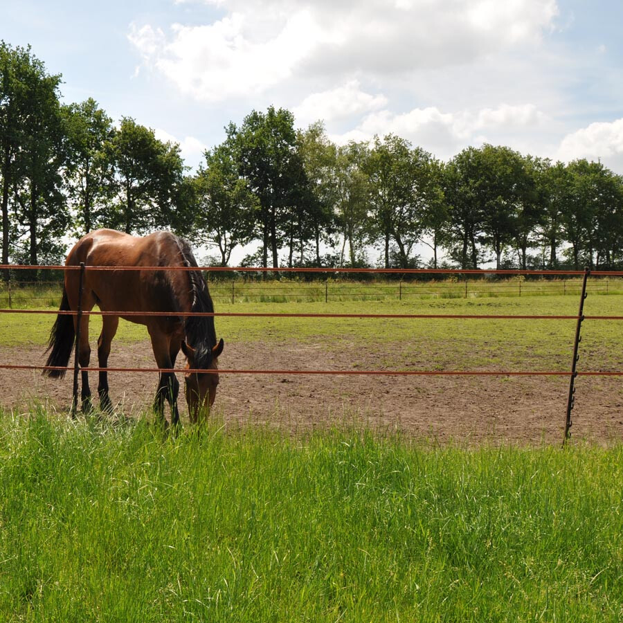 Stijgbeugelpaal terra 1,55m 5stuks - GALLAGHER - 8713235060771|_|060771GAL|_|060771
