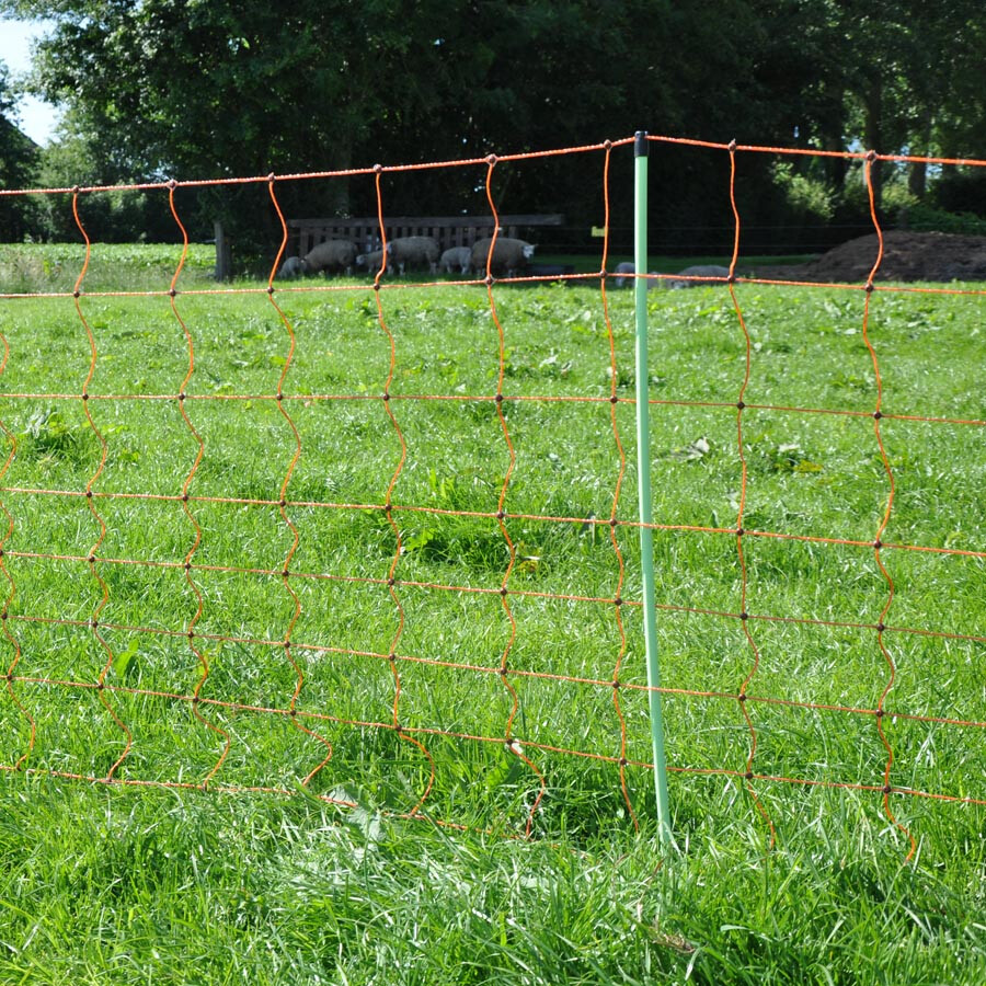EuroNetz Schapennet, Oranje             90/1-14/G-50m - GALLAGHER - 8713235022106|_|022106