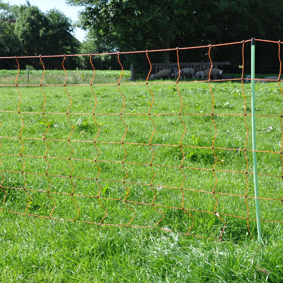 EuroNetz Schapennet, Oranje             90/2-14/G-50m - GALLAGHER - 8713235022175|_|022175GAL|_|022175