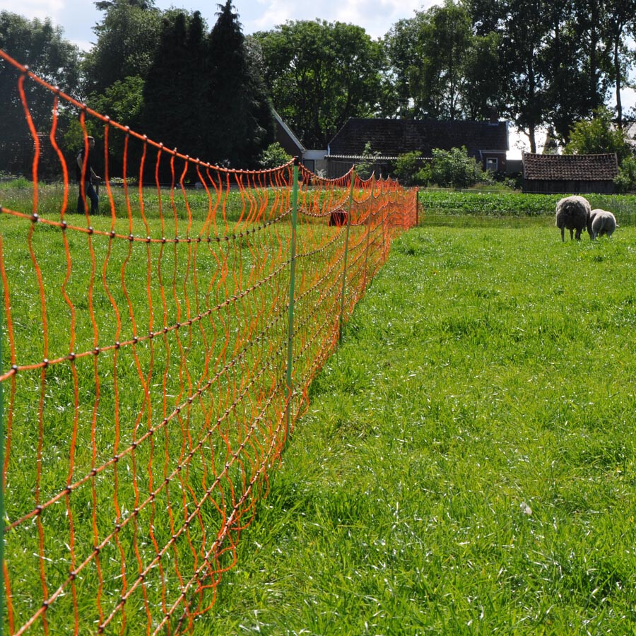 EuroNetz Schapennet, Oranje             90/2-14/G-50m - GALLAGHER - 8713235022175|_|022175GAL|_|022175