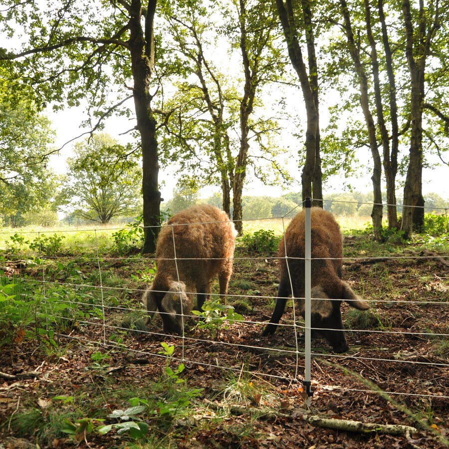 EuroNetz Wildzwijnennet, Wit            75/1-14/W-50m - GALLAGHER - 8713235062973|_|062973GAL|_|062973