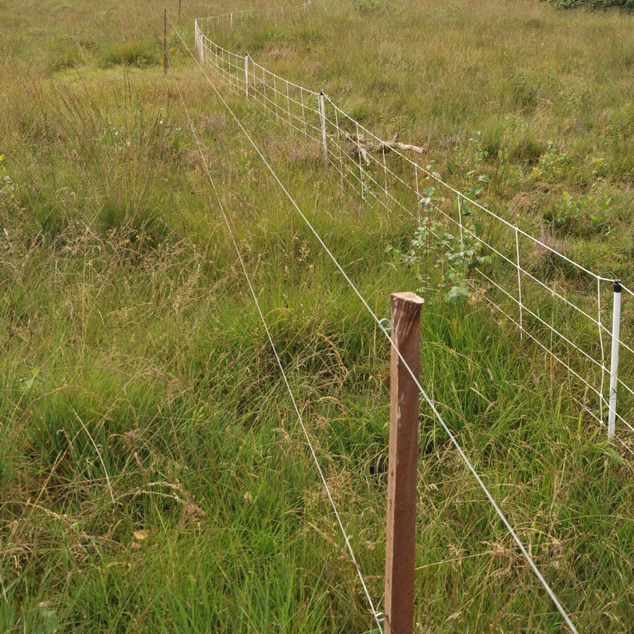Bevestigingsdraadje kort voor           Insultimber/Eco paal 25stuks - GALLAGHER - 8713235011056|_|011056GAL|_|011056
