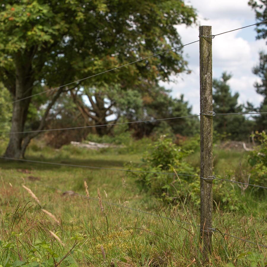 Bevestigingsdraadje lang voor           Insultimber/Eco paal 50stuks - GALLAGHER - 8713235011063|_|011063GAL|_|011063