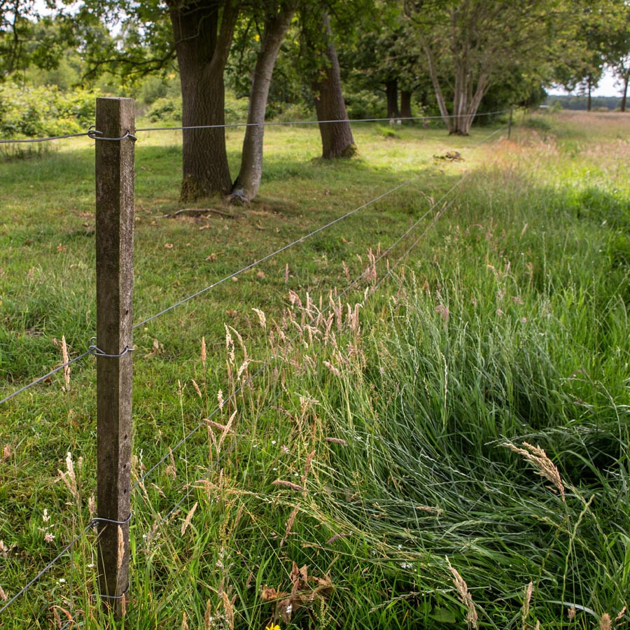 Bevestigingsdraadje lang voor           Insultimber/Eco paal 1000stuks - GALLAGHER - 8713235024704|_|024704