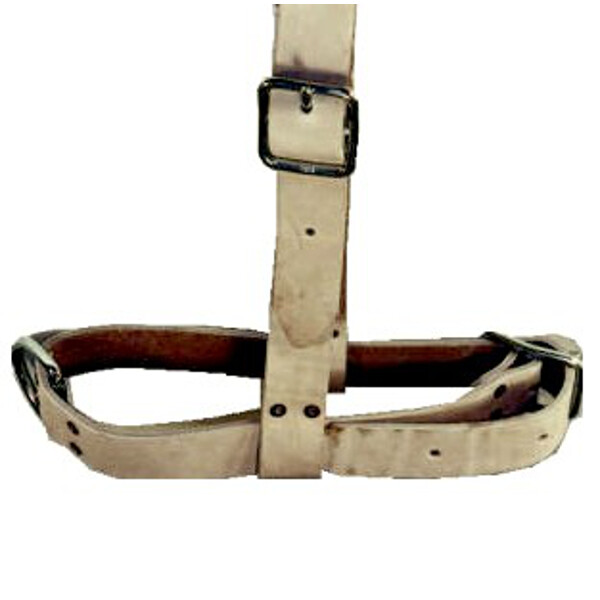 Stierenhalster leer - 528