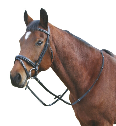 Hoofdstel Exklusiv zwart, Pony | 321721 | 4018653019924