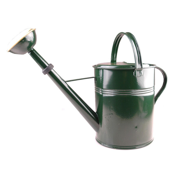 Gieter groen gelakt, messing broes, 8L - 8717233008025|_|GI2