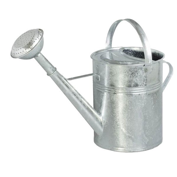 Gieter verzinkt, met broes, 9L - 8717233008018|_|GI1
