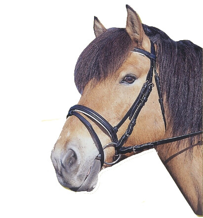 Hoofdstel Standard leer bruin, Cob - 4018653081945|_|321743