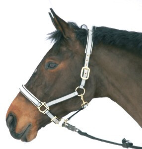 Luxe halster nylon/leer grijs-3 - Full | 32213 | 4022741115023