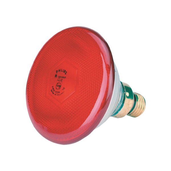 Warmtelamp 100w. rood - 8711500128911|_|475R|_|EQ-WEL-01003