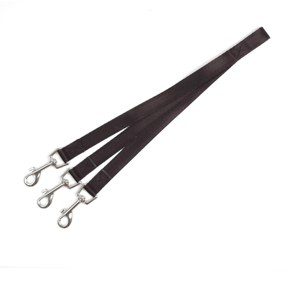 Ophangbanden incl. musketon voor        Dazenval - 323510-7