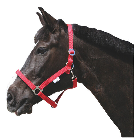 Nylon paardenhalster rood 2/60 - Cob - 4018653321126|_|32112