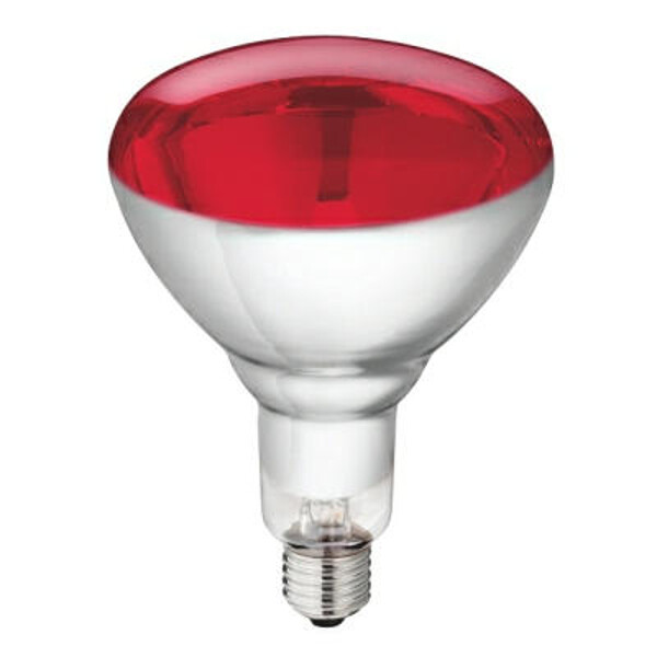 Warmtelamp 250w. rood - 8711500575210|_|474|_|EQ-WEL-01013