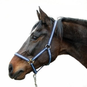 Hippo halster blauw-3 - Full - 4018653086346|_|321943
