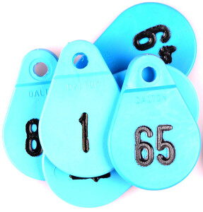 Halsplaatje blauw no.84 - 479-84