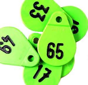 Halsplaatje groen no.60 | 480-60