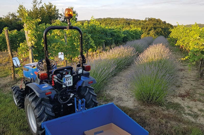 Solis 26 4wd handgeschakeld (6+2) - Solis - solis26-106